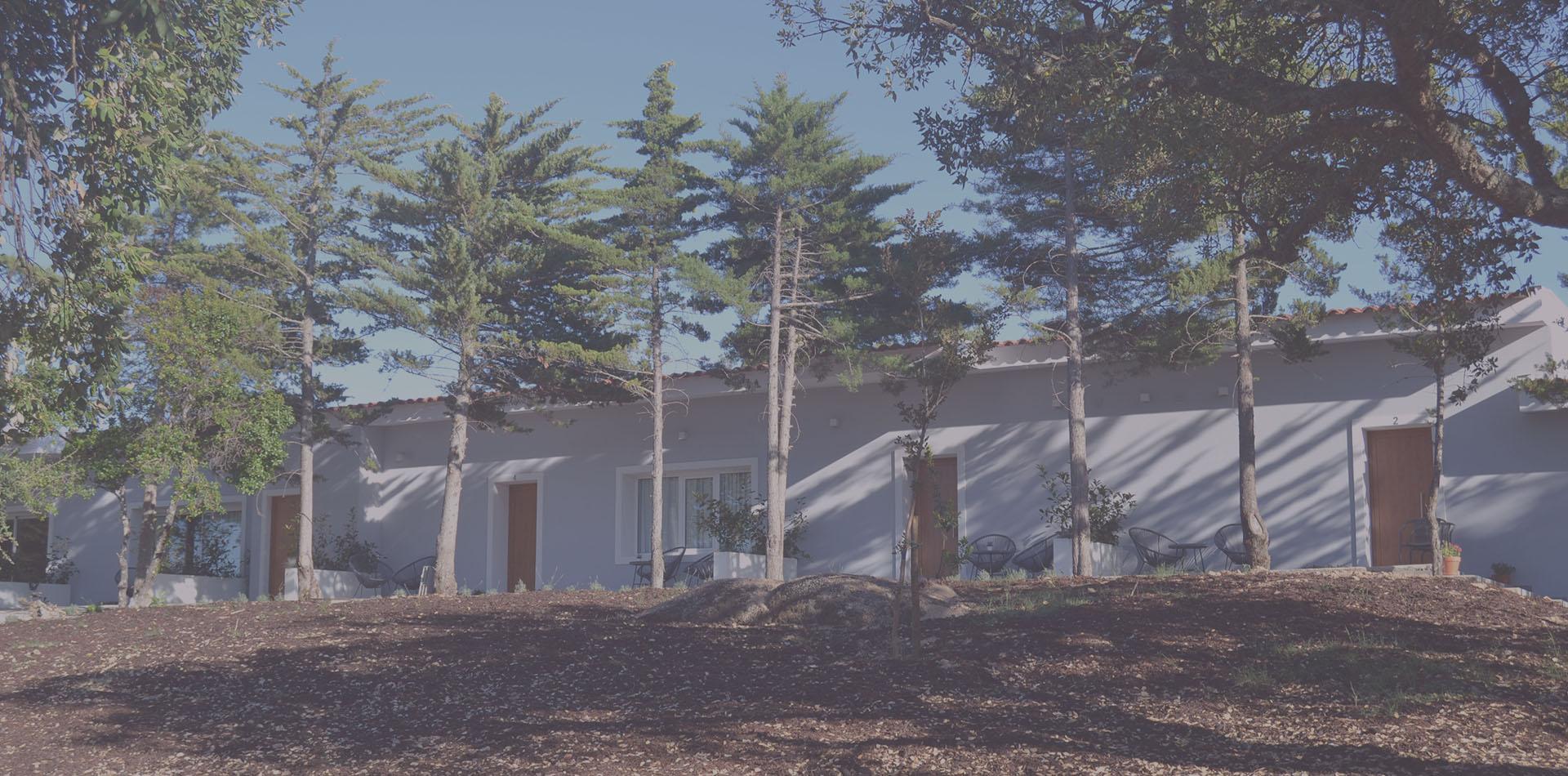 Hotel Campo Do Rosmaninho Castelo Branco  Exterior foto